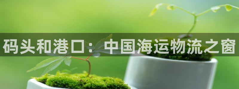 公海赌博为什么没人管
