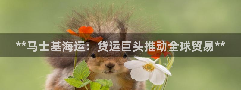 公海赌赌船jcjc710