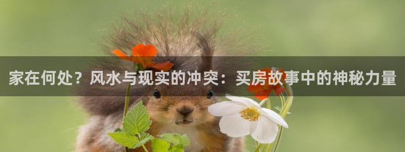 一树梨花压海棠小说免费阅读