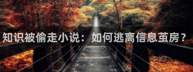 杜鹃与海棠小说在线看